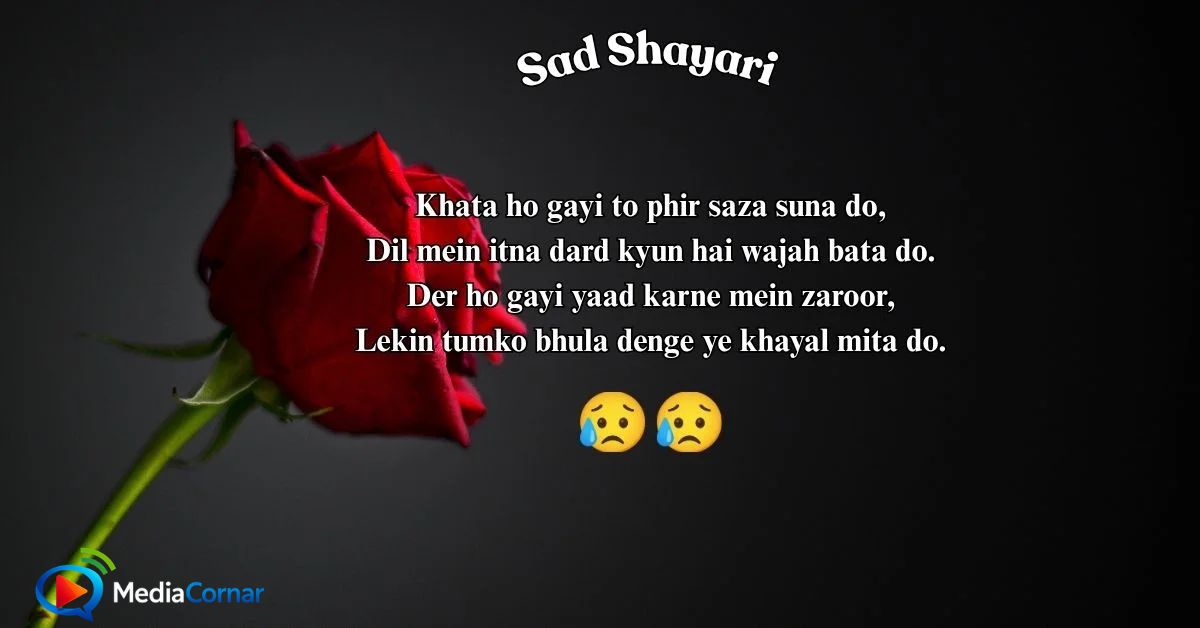 220+ Sad Shayari In Roman English – Best Heart Touching Lines